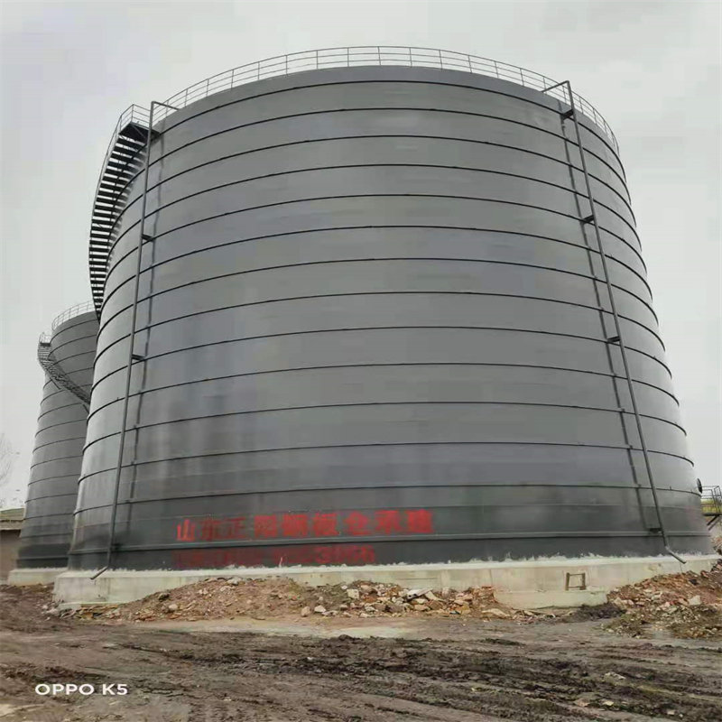 宁明3万吨大型钢板库